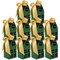 Wrapables Festive Christmas House Shaped Gift Boxes with Ribbons for Weddings, Housewarming, Cookies, Candies, Treats, Party Favors (Set of 10), Green
